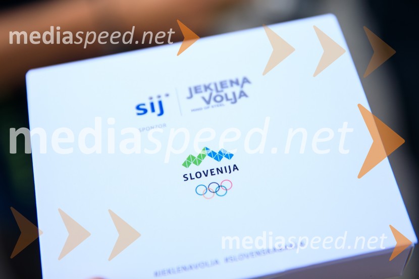 Slovenska bakla v Kranju