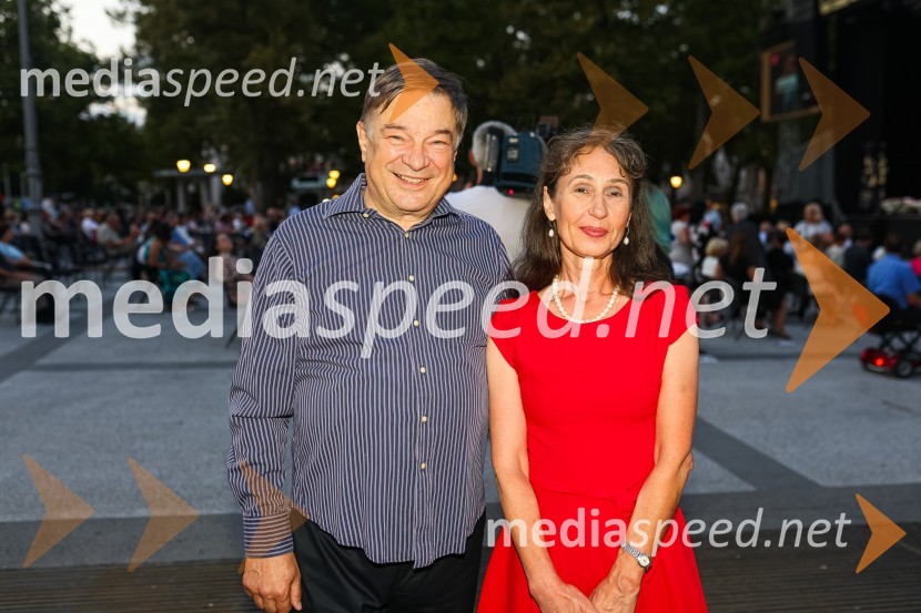 Sen kresne noči, Zbor dunajskih dečkov v okviru 69. Ljubljana Festivala