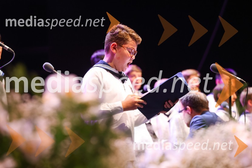 Zbor dunajskih dečkovSen kresne noči, Zbor dunajskih dečkov v okviru 69. Ljubljana Festivala