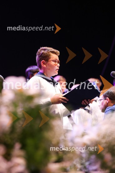 Zbor dunajskih dečkovSen kresne noči, Zbor dunajskih dečkov v okviru 69. Ljubljana Festivala