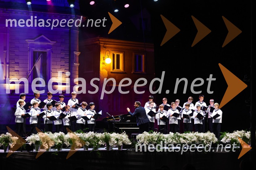 Zbor dunajskih dečkovSen kresne noči, Zbor dunajskih dečkov v okviru 69. Ljubljana Festivala