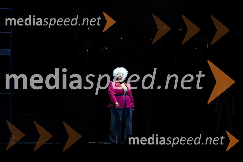 Muzikal Chicago, Festival Ljubljana 2021