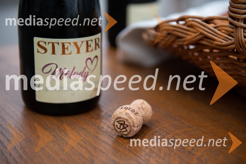 Vino je glasba, krstna uprizoritev kulturno enološkega doživetja