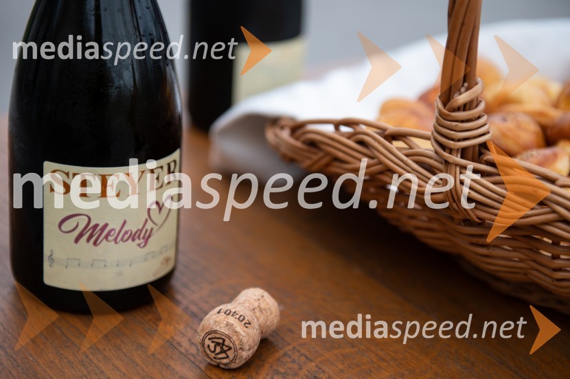 Vino je glasba, krstna uprizoritev kulturno enološkega doživetja