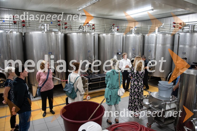 Vino je glasba, krstna uprizoritev kulturno enološkega doživetja