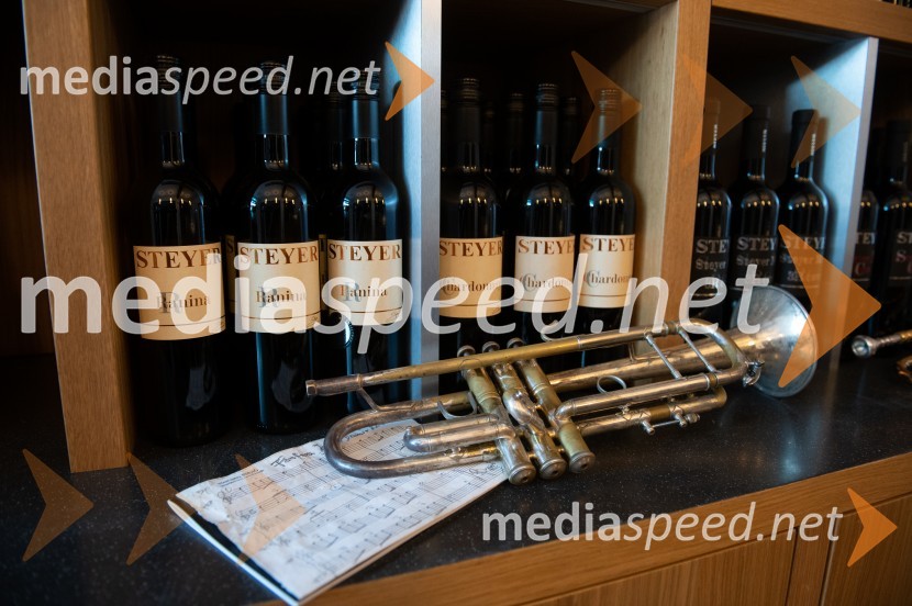 Vino je glasba, krstna uprizoritev kulturno enološkega doživetja