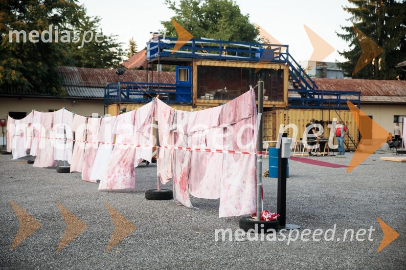 Solo, projekt Nine Rajič Kranjac, Nova pošta, Slovensko mladinsko gledališče