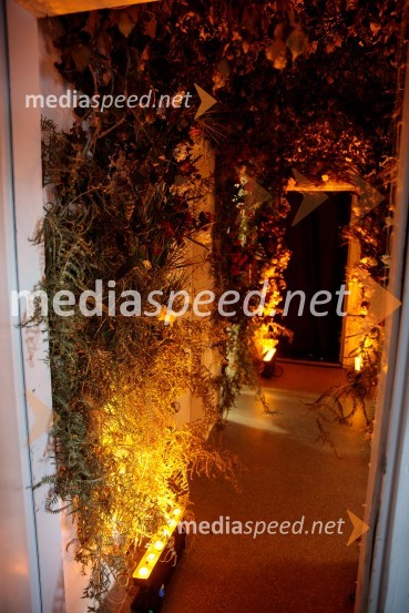 Solo, projekt Nine Rajič Kranjac, Nova pošta, Slovensko mladinsko gledališče