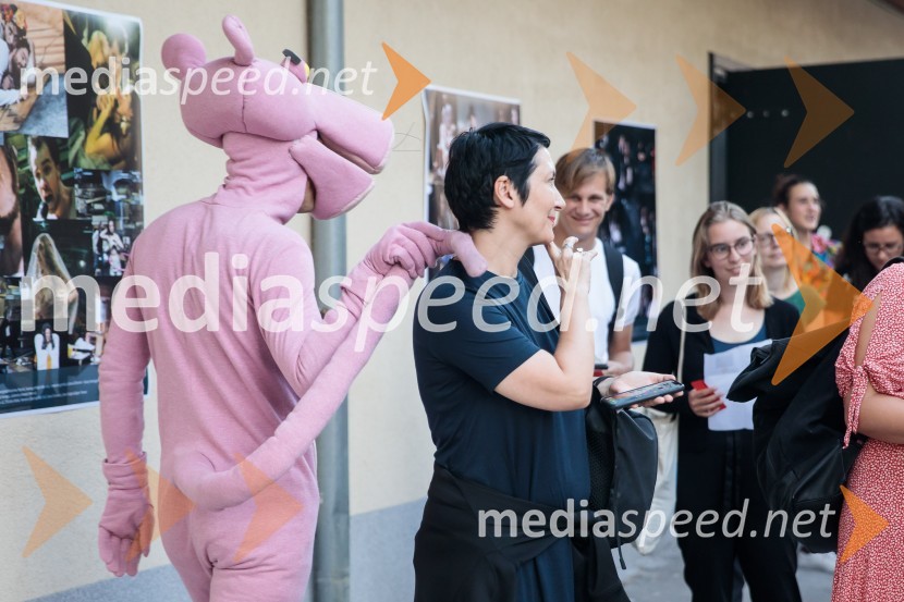 Solo, projekt Nine Rajič Kranjac, Nova pošta, Slovensko mladinsko gledališče