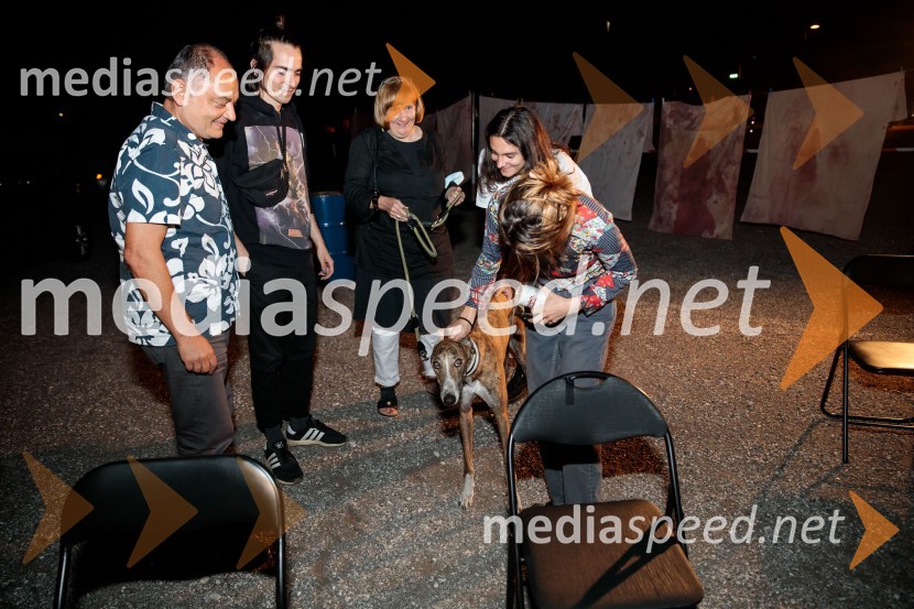 Solo, projekt Nine Rajič Kranjac, Nova pošta, Slovensko mladinsko gledališče