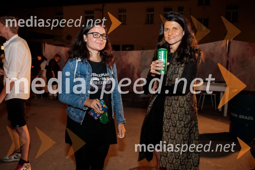 Solo, projekt Nine Rajič Kranjac, Nova pošta, Slovensko mladinsko gledališče