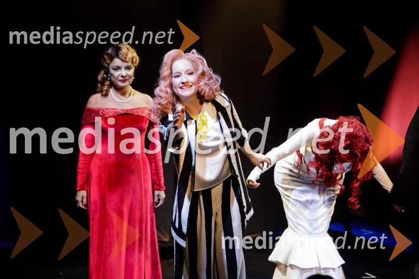  Jagoda Tovirac, igralka;  Lučka Počkaj, igralka;  Eva Stražar, igralkaIn podgana se je smejala, premiera drame SLG Celje