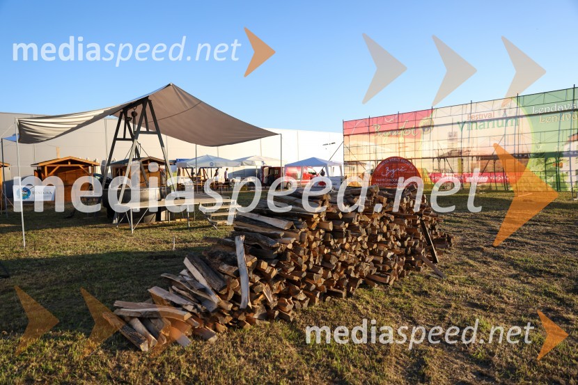 V Lendavi rekorden bograč za Guinnessov rekord