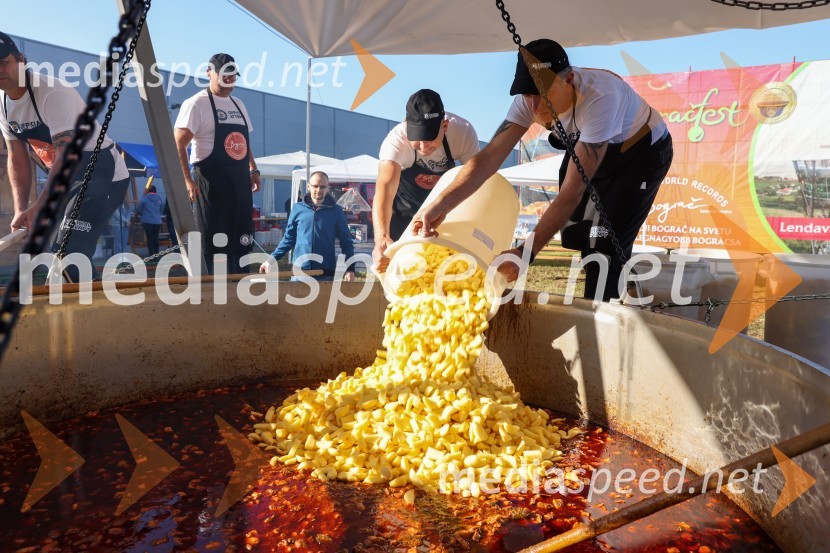 V Lendavi rekorden bograč za Guinnessov rekord