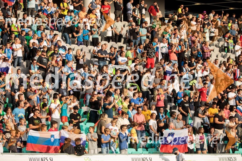 Kvalifikacije za SP 2022: Slovenija : Malta