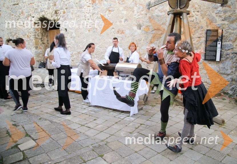 Mednarodno priznanje za mlade, podelitev priznanj 7. generaciji