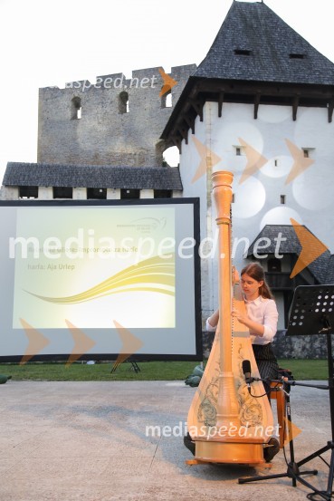 Mednarodno priznanje za mlade, podelitev priznanj 7. generaciji