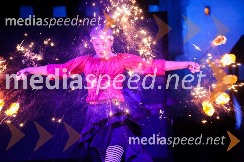 Mednarodno priznanje za mlade, podelitev priznanj 7. generaciji