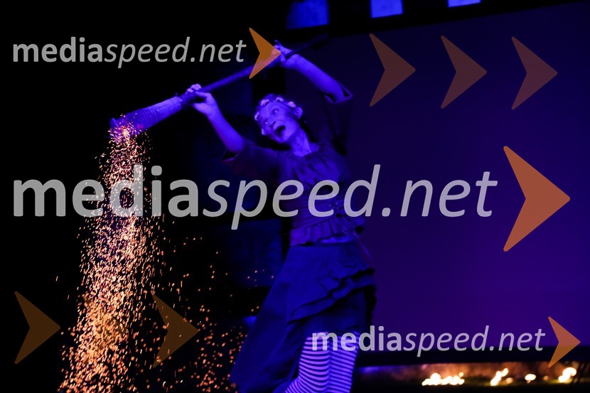 Mednarodno priznanje za mlade, podelitev priznanj 7. generaciji