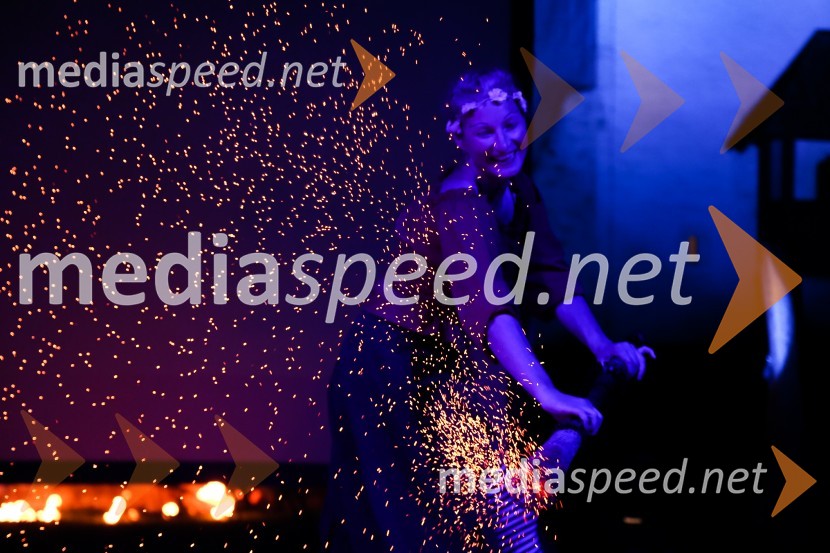 Mednarodno priznanje za mlade, podelitev priznanj 7. generaciji