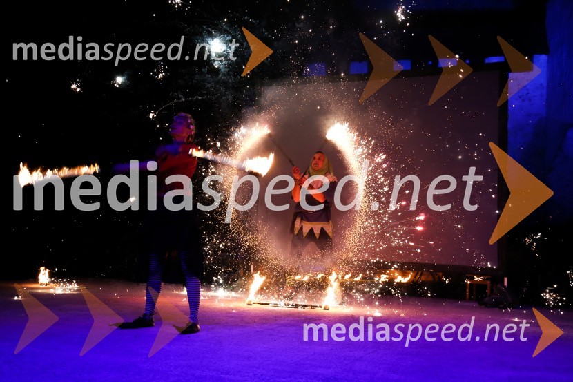 Mednarodno priznanje za mlade, podelitev priznanj 7. generaciji