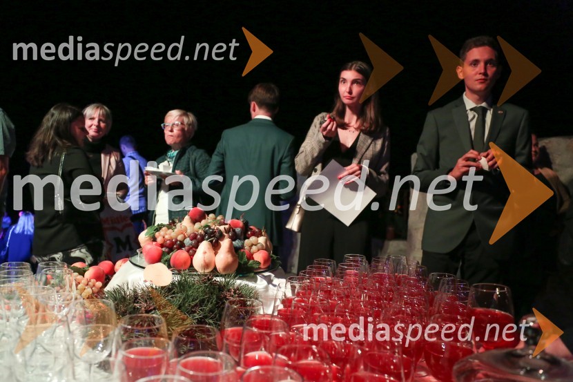 Mednarodno priznanje za mlade, podelitev priznanj 7. generaciji