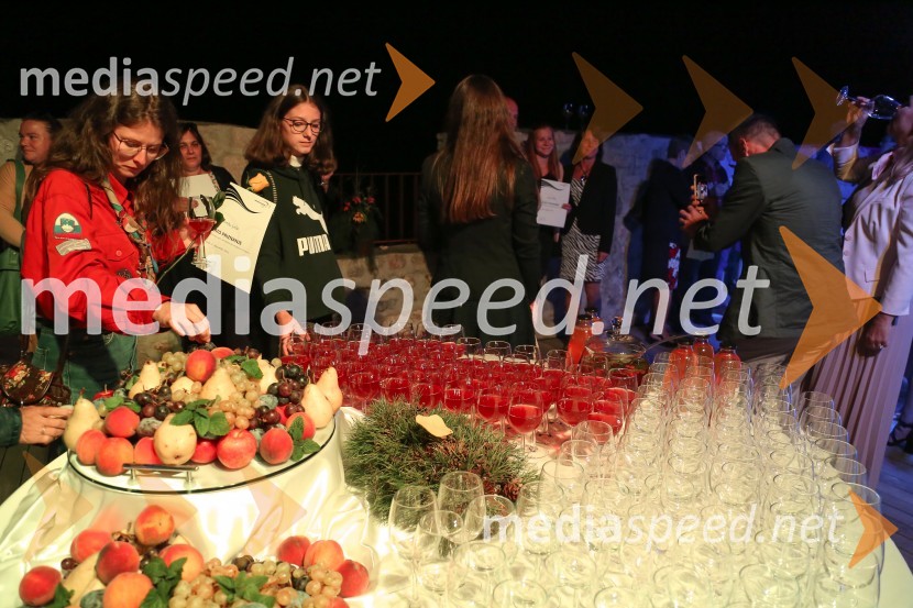 Mednarodno priznanje za mlade, podelitev priznanj 7. generaciji