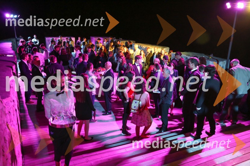 Mednarodno priznanje za mlade, podelitev priznanj 7. generaciji