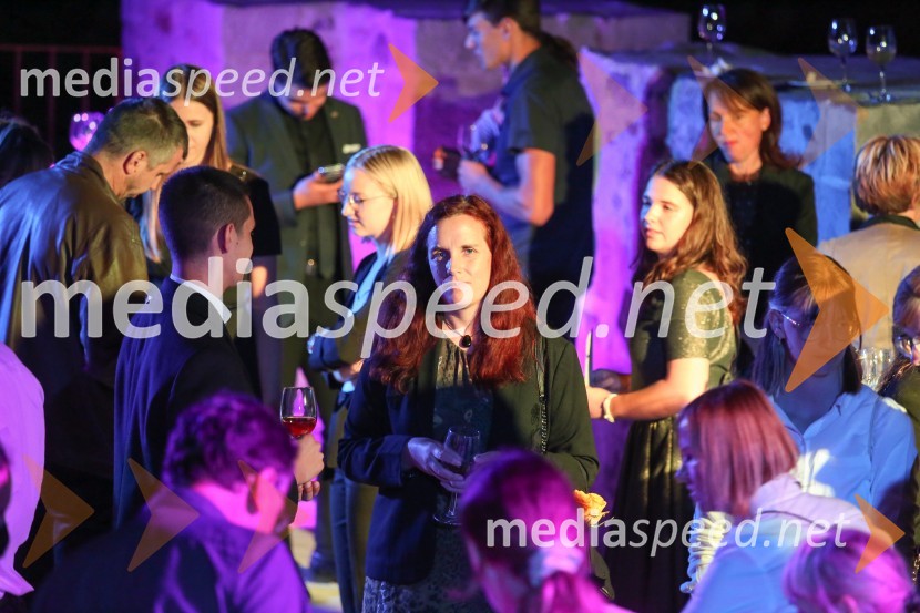 Mednarodno priznanje za mlade, podelitev priznanj 7. generaciji