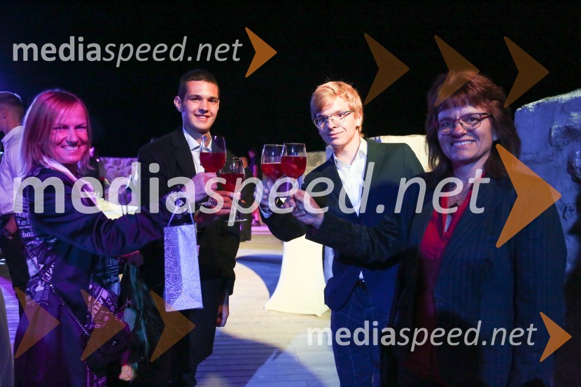 Mednarodno priznanje za mlade, podelitev priznanj 7. generaciji