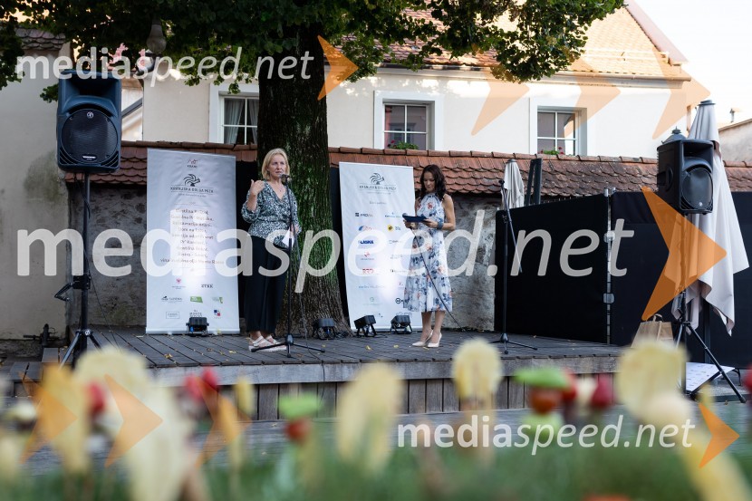  Andreja Valant, pomočnica direktorja CSD Kranj;  ... Kranjska dolga miza