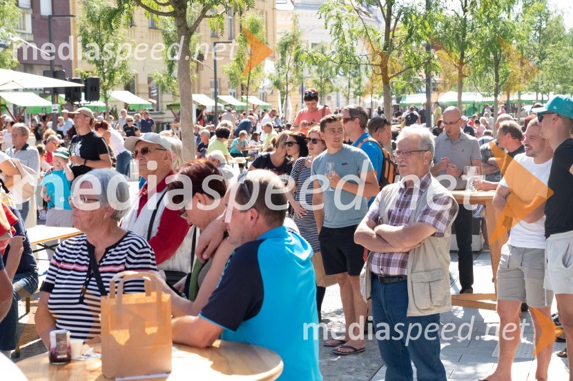 11. Festival prekmurske gibanice in šunke 2021