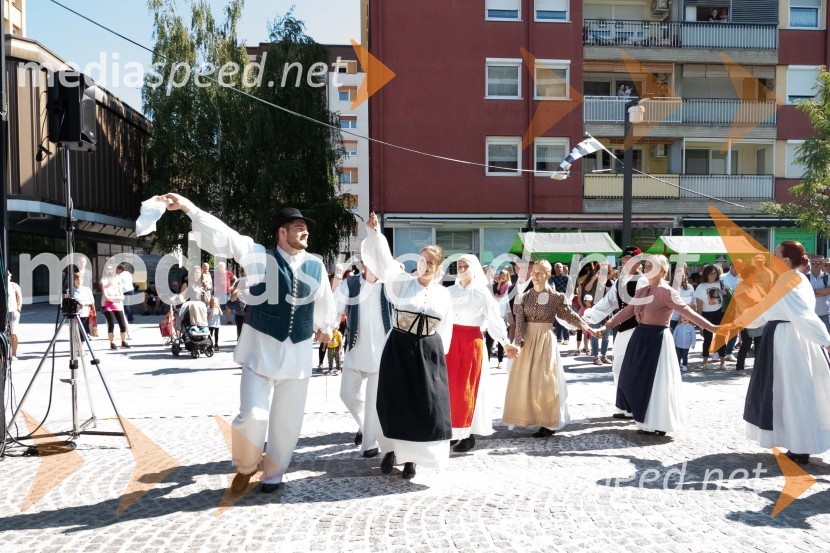 11. Festival prekmurske gibanice in šunke 2021
