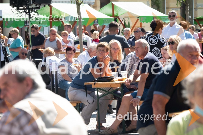 11. Festival prekmurske gibanice in šunke 2021