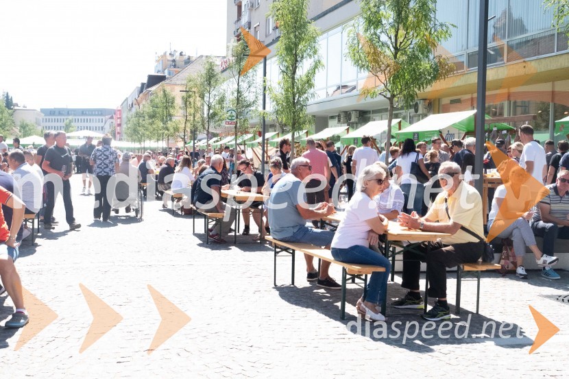 11. Festival prekmurske gibanice in šunke 2021