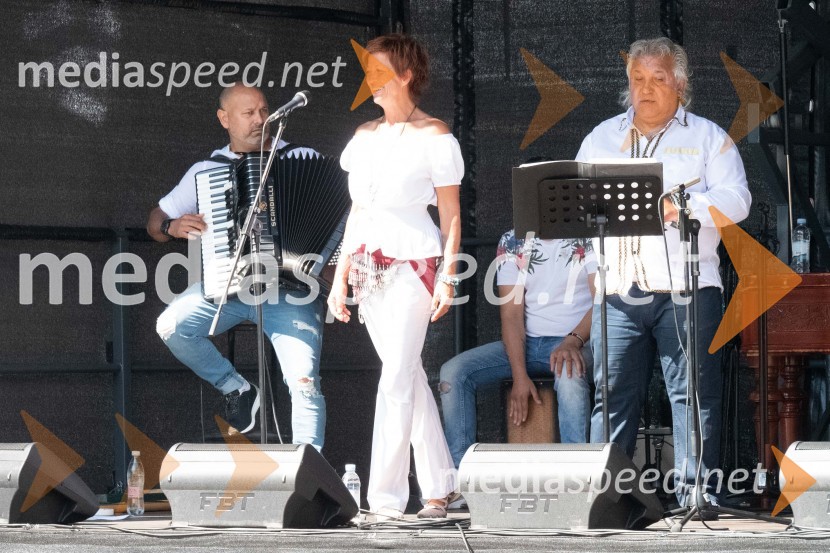 11. Festival prekmurske gibanice in šunke 2021