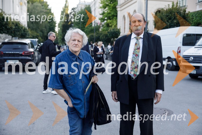 Filharmonični orkester Baltskega morja Nordijski labodi, Festival Ljubljana 2021