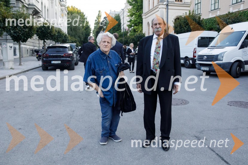 Filharmonični orkester Baltskega morja Nordijski labodi, Festival Ljubljana 2021