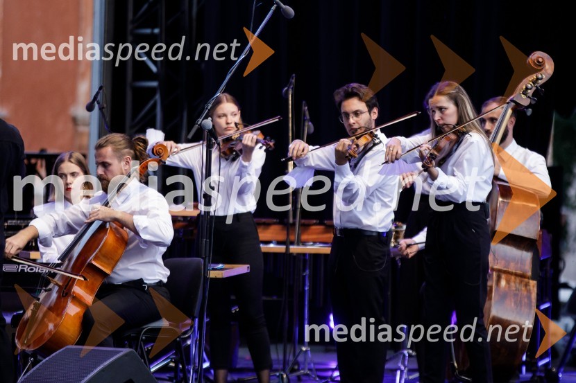 Filharmonični orkester Baltskega morja Nordijski labodi, Festival Ljubljana 2021