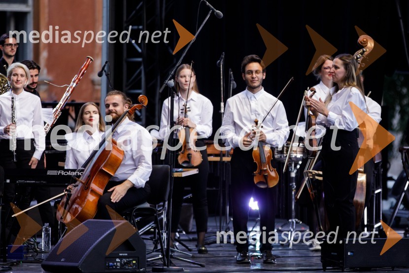 Filharmonični orkester Baltskega morja Nordijski labodi, Festival Ljubljana 2021