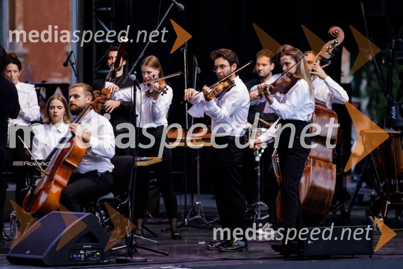 Filharmonični orkester Baltskega morja Nordijski labodi, Festival Ljubljana 2021