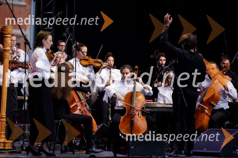 Filharmonični orkester Baltskega morja Nordijski labodi, Festival Ljubljana 2021