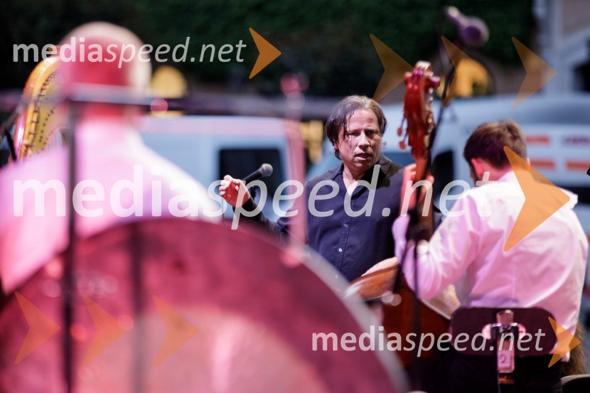 Filharmonični orkester Baltskega morja Nordijski labodi, Festival Ljubljana 2021