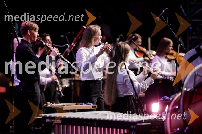 Filharmonični orkester Baltskega morja Nordijski labodi, Festival Ljubljana 2021