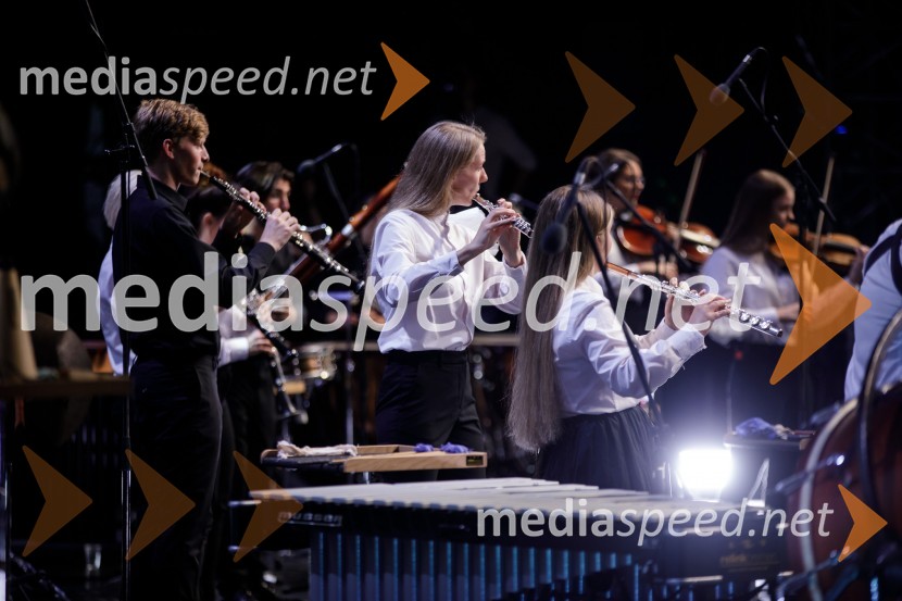 Filharmonični orkester Baltskega morja Nordijski labodi, Festival Ljubljana 2021