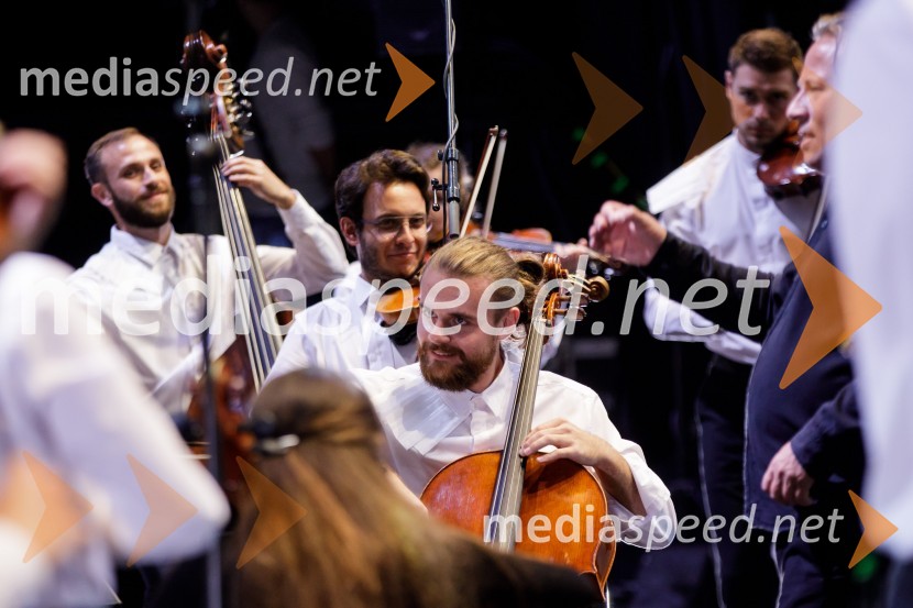 Filharmonični orkester Baltskega morja Nordijski labodi, Festival Ljubljana 2021