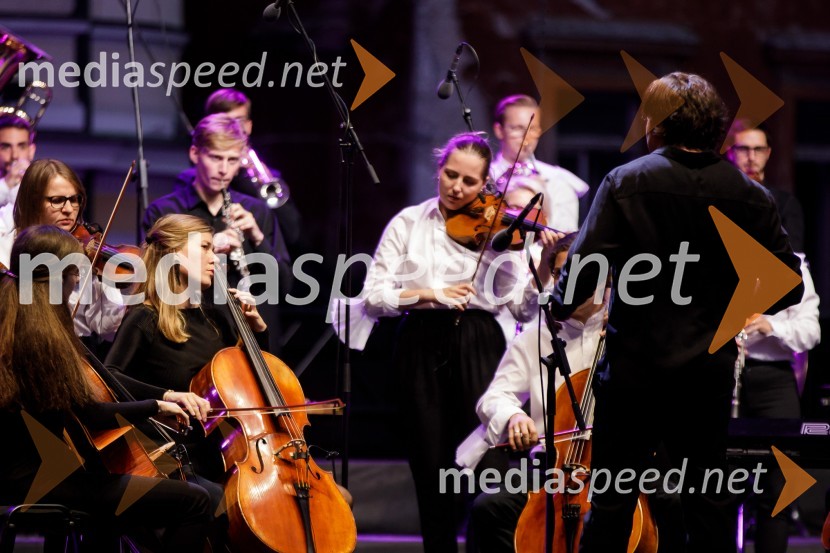 Filharmonični orkester Baltskega morja Nordijski labodi, Festival Ljubljana 2021