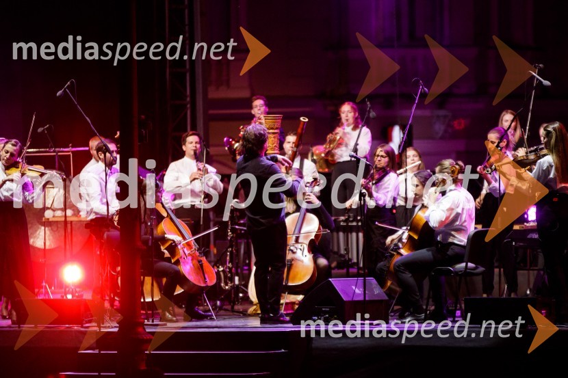 Filharmonični orkester Baltskega morja Nordijski labodi, Festival Ljubljana 2021