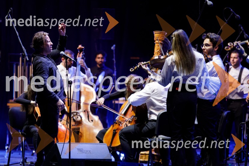 Filharmonični orkester Baltskega morja Nordijski labodi, Festival Ljubljana 2021