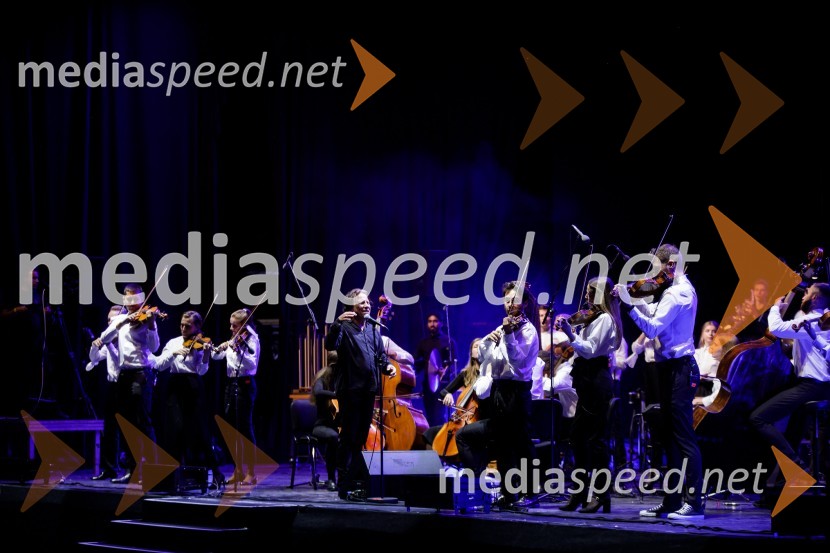 Filharmonični orkester Baltskega morja Nordijski labodi, Festival Ljubljana 2021